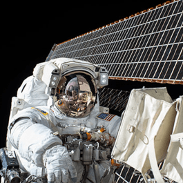 NASA Twins Study: Bodies in space