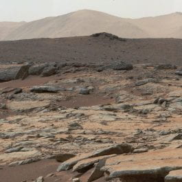 How the Microbiome May React on Mars