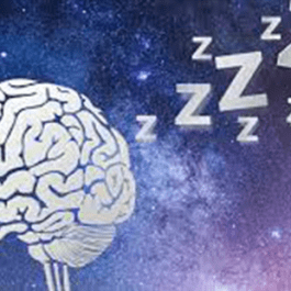 Study looks inside the brain during sleep to show how memory is stored